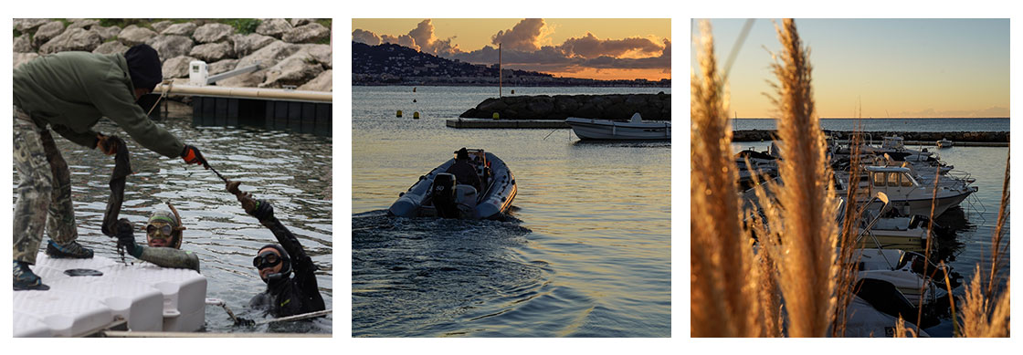 Visuels port du Beal Environnement 2